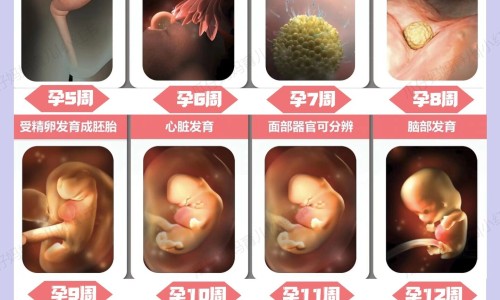 怀孕时候皮肤不好怎么改善-怀孕时候皮肤不好-专业怀孕皮肤不好是儿子吗平台-怀孕时候皮肤不好怎么改善
